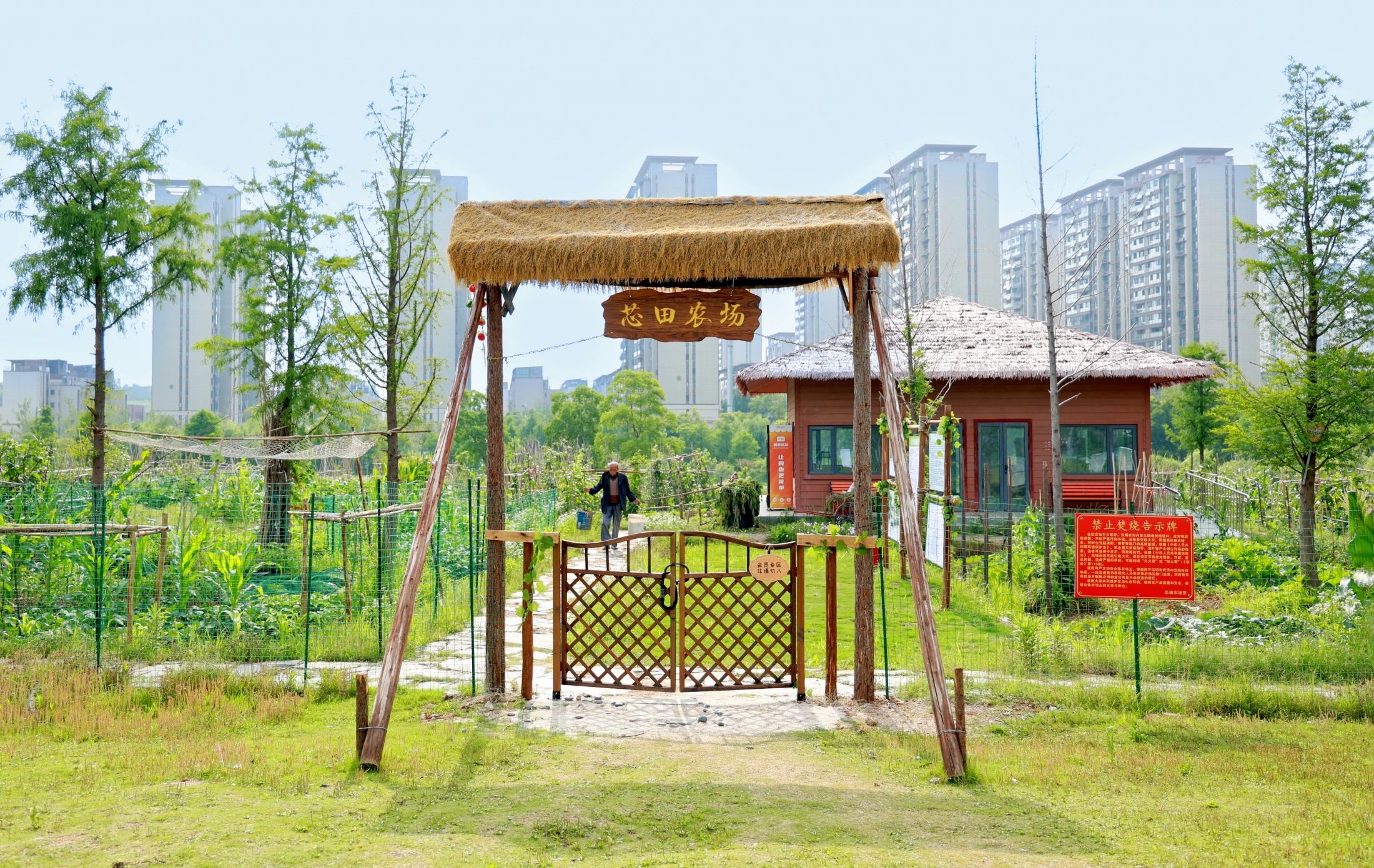 05.jpg